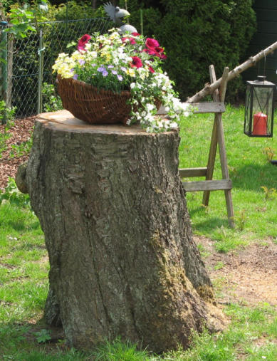 Bild &copy;2011 Lothar B. Metz